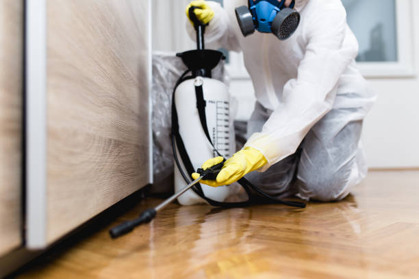 Pest Control Cost in Rogers, TX