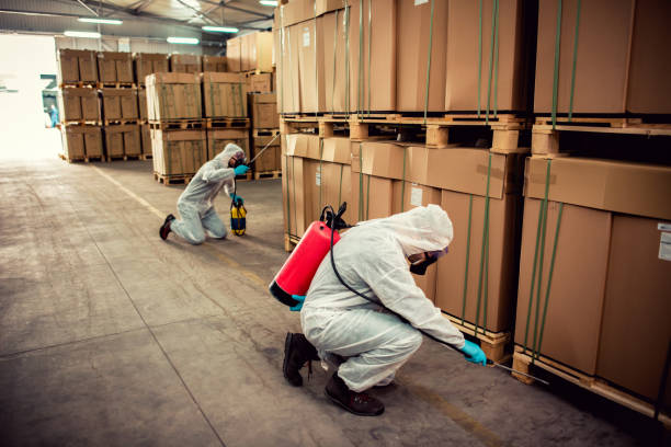 Pest Prevention Services in Rogers, TX