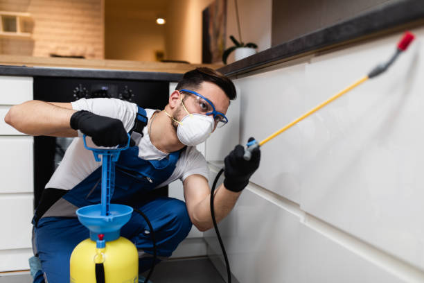Best Exterminator Services  in Rogers, TX