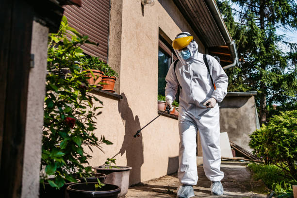 Best Mosquito Control Services  in Rogers, TX