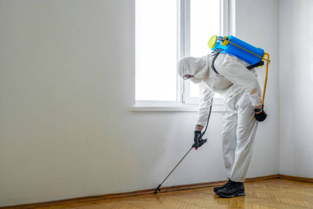 Best Pest Prevention Services  in Rogers, TX