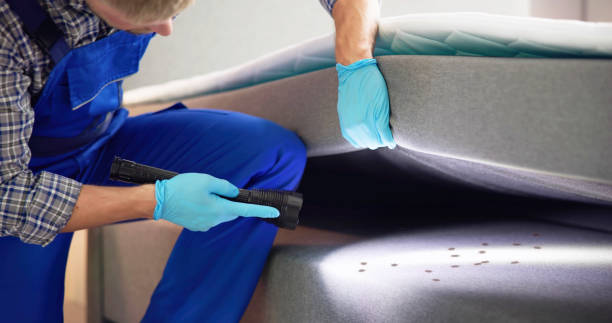 Best Pest Inspection Near Me  in Rogers, TX