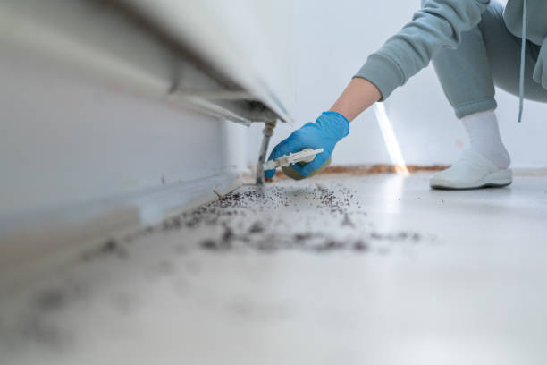Reliable Rogers, TX Pest Control Solutions
